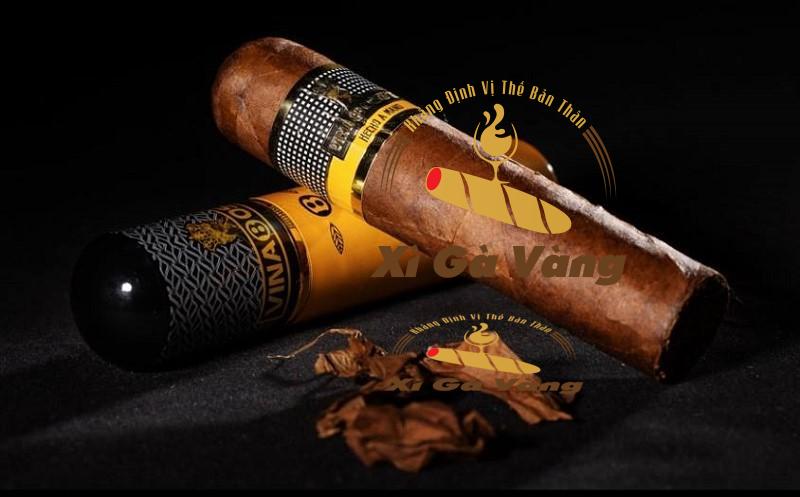 Xì gà Vinaboss 55 được trộn lẫn giữa mùi vị gỗ và trái cây